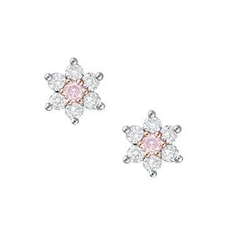 Kimberley Stella Stud Earrings