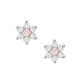 Kimberley  Stella Stud Earrings